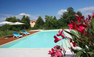 Villa Olive Garden Istra Basanija Croatia J2ski