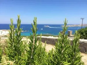 View House in Paroikia Paros - Parasporos