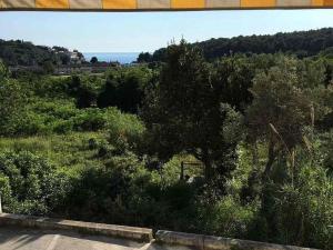 Studio in Pula - Istrien 36014