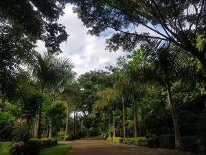 Samnaree Garden House