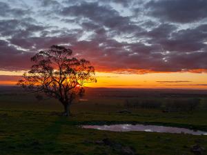 Tuki Miners Cottage