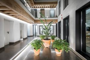 Double or Twin Room room in Hotel Casa de Indias By Intur