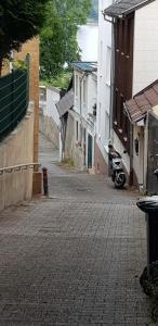 Rheinblick 3-Zimmer Apartment