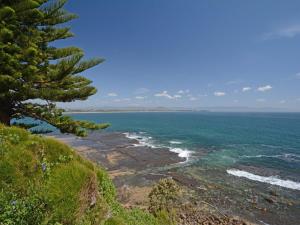 Whale Watch Ocean View Cottage