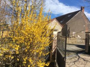 Maisons de vacances contesdunegrandmere : photos des chambres