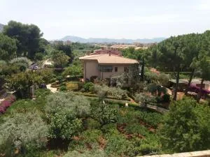 Green Garden 2017 - Cardillo