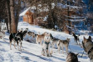 Appart'hotels Residence Sunelia Les Logis d'Orres : photos des chambres