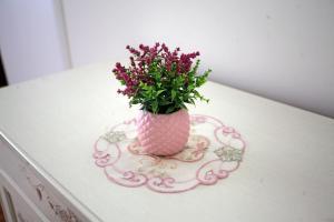 City Center Belgrade Queen Apartment Skadarlija