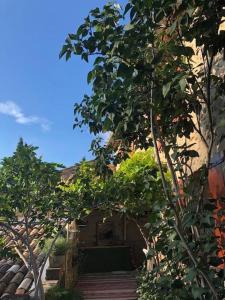 Fontaine-de-Vaucluse : maison avec vues