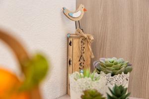 Casa Olivastro Millenario A img4