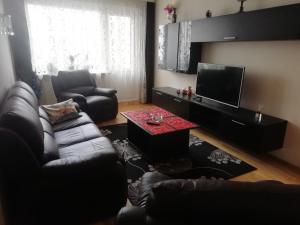 One-Bedroom Apartment room in Justinos Apartamentai Panevėžyje