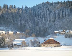 Hotels Espace Morteau : photos des chambres