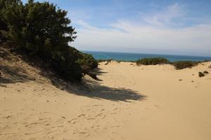 Ampio appartamento Marina di Arbus img45