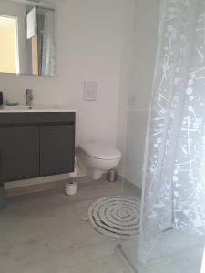 Saint-Malo beau T2 à Solidor