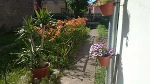 Kossuth Lajos u. 176. - Budapest