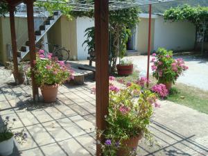 Villa Tonia Apartments