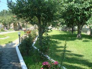 Villa Tonia Apartments Halkidiki Greece