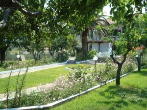 Villa Tonia Apartments Halkidiki Greece