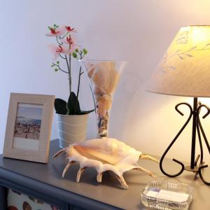 Le Coquillage photo 9