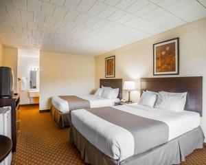 Queen Room with Two Queen Beds - Non-Smoking room in Econo Lodge Inn & Suites Shamokin Dam - Selinsgrove