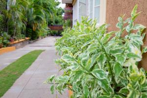 Kingston Vacation Rentals at Gardens of Bliss 2 - Beautiful Suite with Fishpond, Kingston