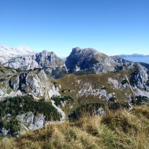 Hiška Henrik Zalokar 