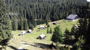 Hiška Henrik Zalokar