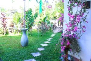 Dil's Place - Akkaragoda