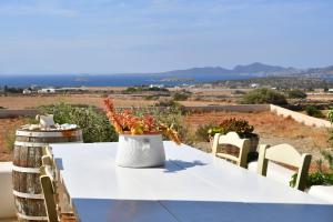 Villa Sophia Paros Greece