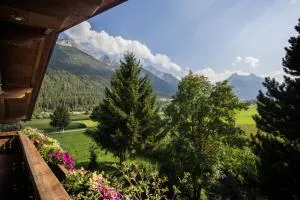 Ferienwohnungen Feldhof - Medraz