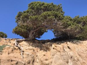 Villa Sardinia Seaview&SPApool img65
