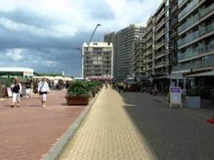 Shamrock Oostduinkerke
