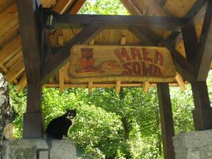 Mała Sowa Góry Sowie