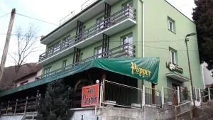 Garni Hotel Sonata - ترينسين