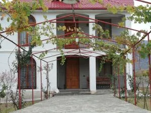 Villa "zepuri" - Didgori