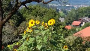 Müllnerhaus
