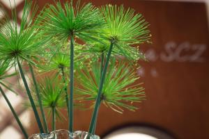 Hotel By Armonía Santa Cruz