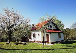 Holiday Home Coprnička Hiša