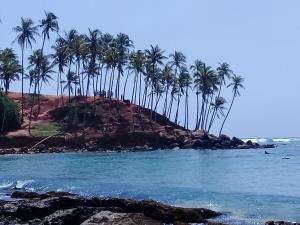 Leisure Home Mirissa