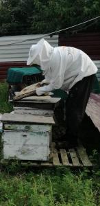 Paradise Investment Resort