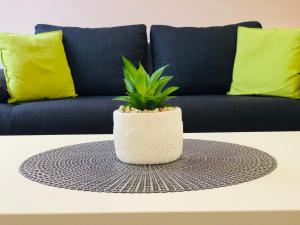 Green Island in the downtown with free parking