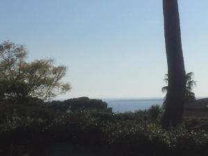 Villas Magnifique Villa de prestige Antibes/Juan-les-Pins : photos des chambres