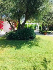 Villa sul mare Rosa Marina