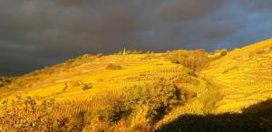 Maisons d'hotes Wine Passion Panoramic : photos des chambres