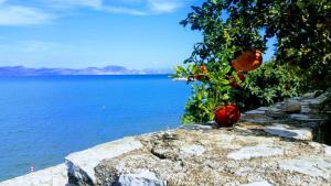 Seafront apartment in Kiveri, near Nafplion.