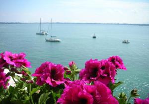 Casa vistamare Alfeo