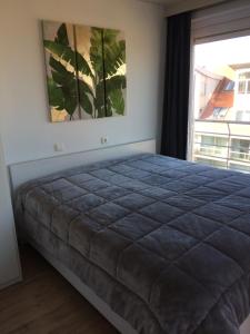 Res Apollo Nieuwpoort