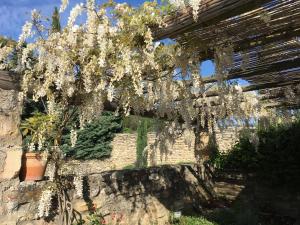 Maisons de vacances Le Petit Bastidon Privat pool Gordes : photos des chambres