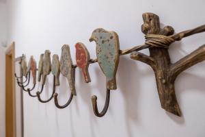 Two Bedroom Apartment Near to Doctors Garden