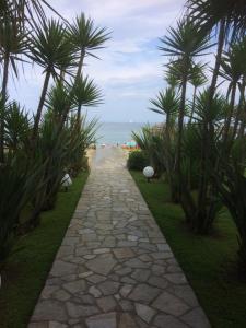 Appartements Les pieds dans l'eau en Corse ! : photos des chambres